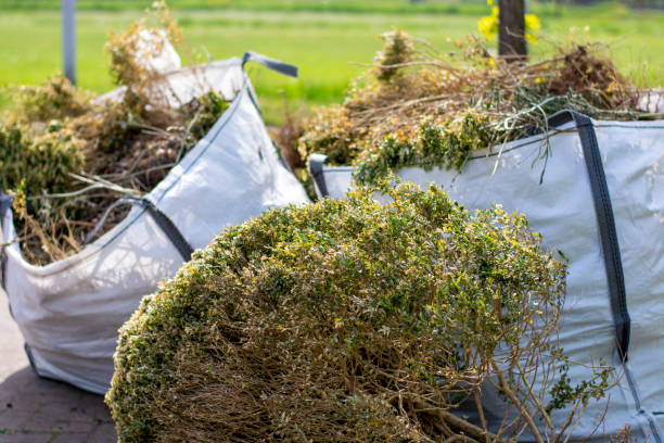 Best Construction Debris Removal  in Alamosa, CO